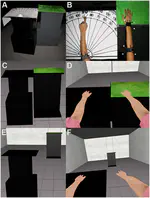 Extending Body Space in Immersive Virtual Reality: A Very Long Arm Illusion